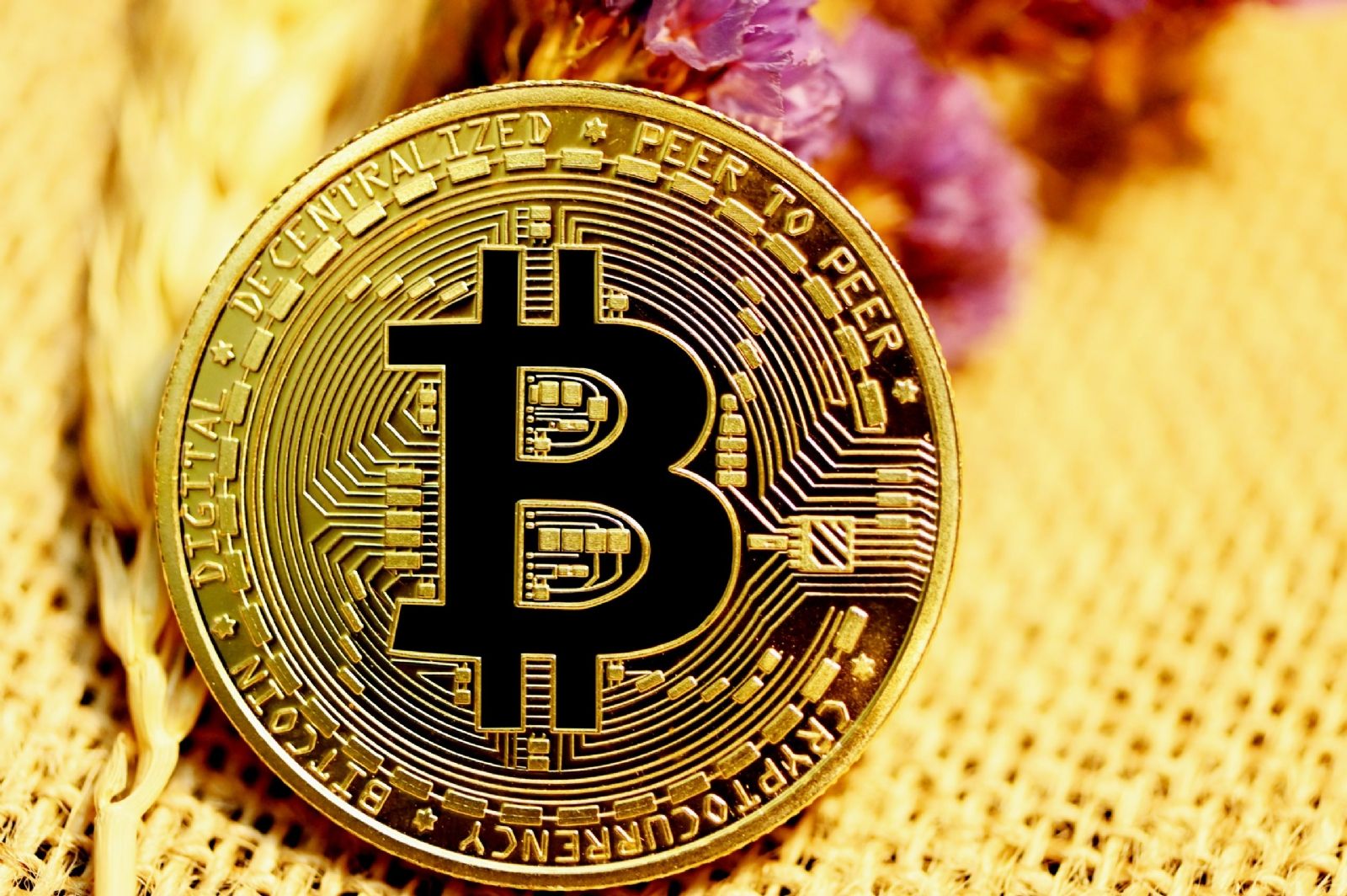 Bitcoin, sin duda la más popular de todas las criptomonedas