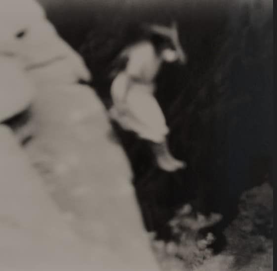 Foto de la mustra creada con IA.