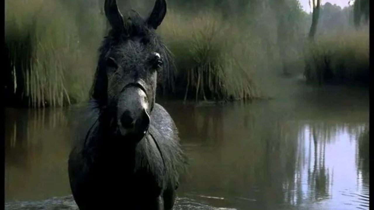 Así se vería Burro de Shrek según esta IA.