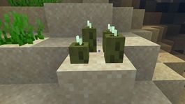 minecraft: como se usan los pepinos de mar