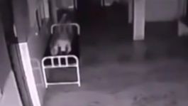 que hay despues de la muerte: cientifico explica lo que sucede en el momento que mueres