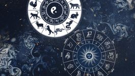 La influencia de los signos del zodiaco en el comportamiento en línea según la IA