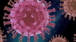 coronavirus: cientifico afirma que china no fue su origen y senala a otro pais como cuna de la pandemia