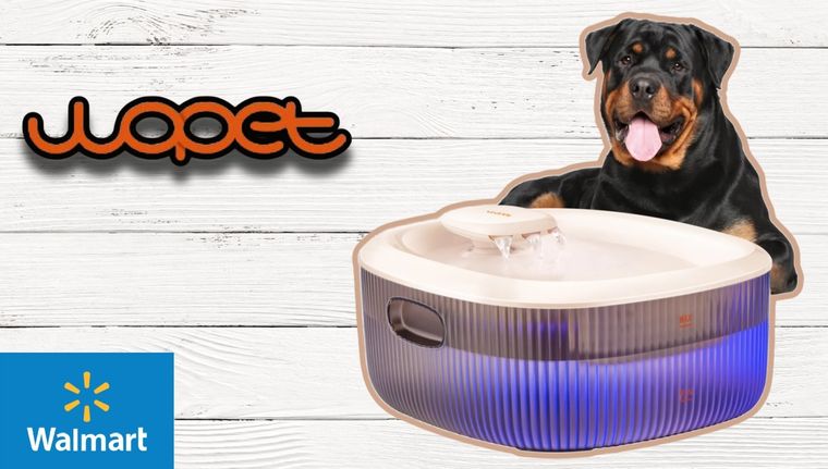 Walmart presenta un dispensador automático de agua para mascotas con un descuento de casi el 50%