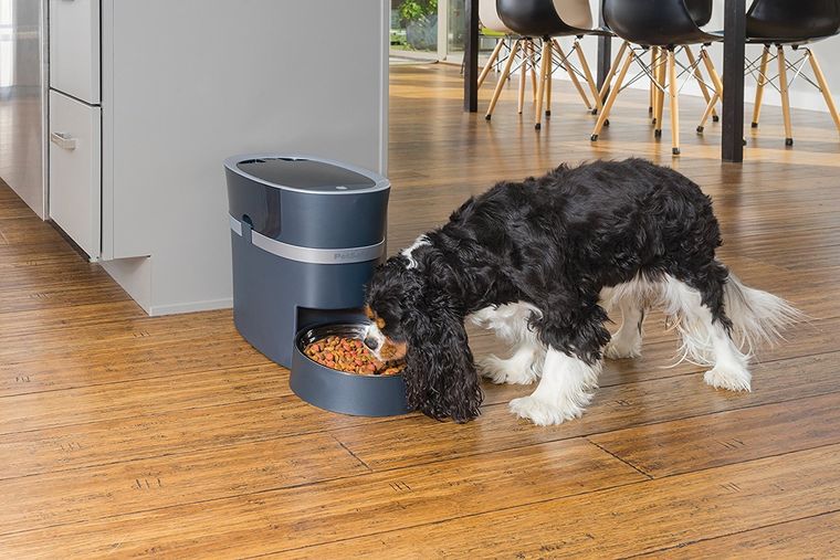 Dispensador automático de alimentos para mascotas