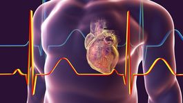 Foto: Editor de fotos