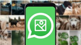 ¿envias archivos por whatsapp y pierden calidad?: paso a paso para hacerlo correctamente