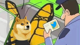 Twitter cambia su logo por el meme de un perro