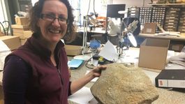 hallan una piedra romana de 2 mil anos con un pene enorme grabado en ella