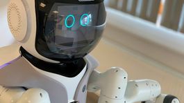 Garmi, el futuro en el cuidado del adulto mayor