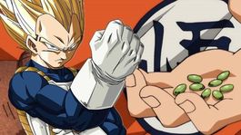 Dragon Ball: qué personaje ha comido más Semillas del Ermitaño