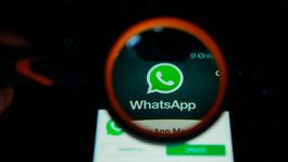 whatsapp: ¿se puede saber quien vio tu foto de perfil y la descargo?