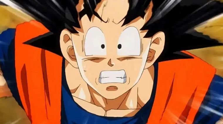 El personaje estaba entre la lista de guerreros favoritos del mangaka