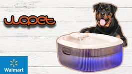 Walmart presenta un dispensador automático de agua para mascotas con un descuento de casi el 50%