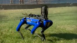 el perro robot de la policia de new york recibira una impresionante actualizacion