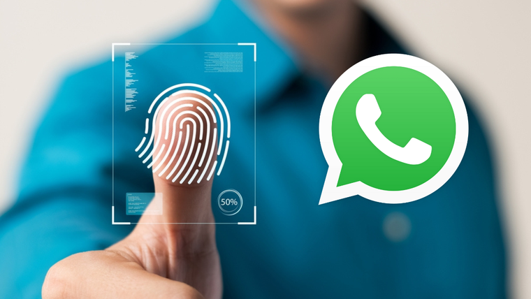 Esta nueva función de WhatsApp te garantizará confidencialidad en tus chats