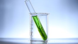 desarrollan metodo economico para crear combustibles a partir de plantas