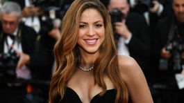 Shakira agradeció a través de las redes