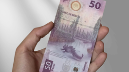 Este billete es de los más codiciados del mercado