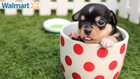 Aprovecha este cupón de Walmart exclusivo para mascotas.
