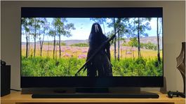 Este es el primer televisor que tiene lo mejor de los OLED junto con lo mejor de los QLED.