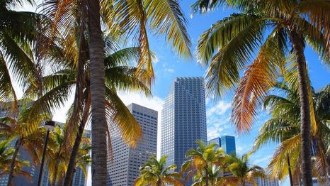 Miami: estos son los mejores lugares para alojarte con tus hijos