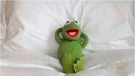 Estos son los 10 memes más graciosos de internet