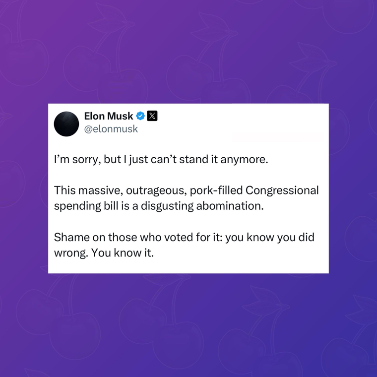 El polémico posteo en X de Elon Musk criticando a Trump El polémico posteo en X de Elon Musk criticando a Trump