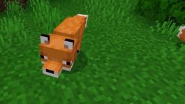 minecraft: como domesticar a un zorro