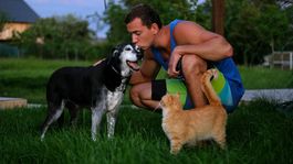 Pets love