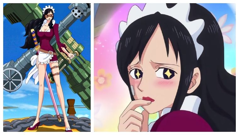 Baby 5 forma parte de la tripulación de los Piratas Donquixote como sirvienta y asesina