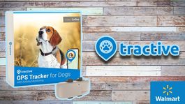 Walmart nos trae en oferta este dispositivo de GPS para rastrear a nuestras mascotas