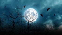 Es la primera vez que se da en 76 años que una Luna Azul coincida con la noche de los muertos