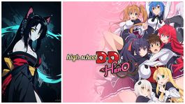 Kuroka apareció inicialmente como una antagonista en High School DxD.