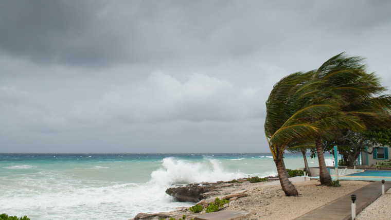 Tormenta tropical Alvin