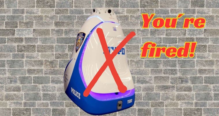 Robótica y seguridad