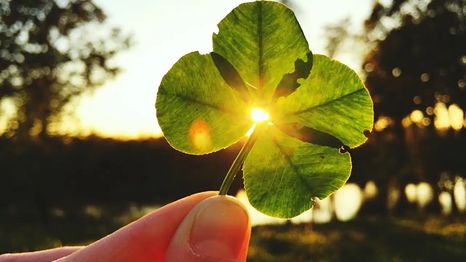¡Atención! Las personas con buena suerte practican estos hábitos