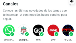 WhatsApp presentó sus Canales a 150 países WhatsApp presentó sus Canales a 150 países