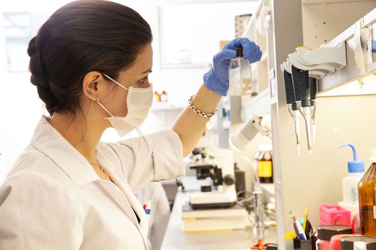 Bill Gates sostiene que carreras vinculadas a las Ciencias Naturales y Exactas tienen futuro Bill Gates sostiene que carreras vinculadas a las Ciencias Naturales y Exactas tienen futuro