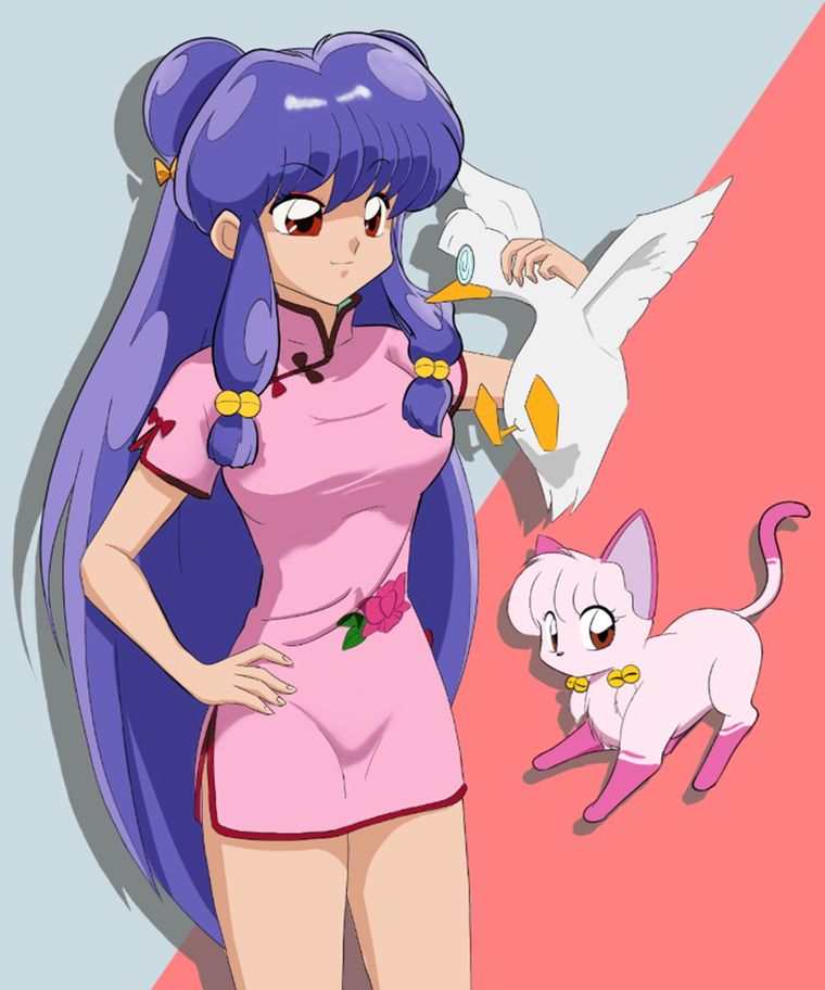 Shampoo de Ranma ½ Shampoo de Ranma ½