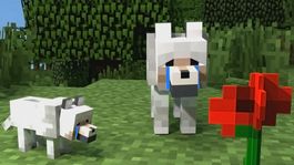 minecraft comienza a despedirse