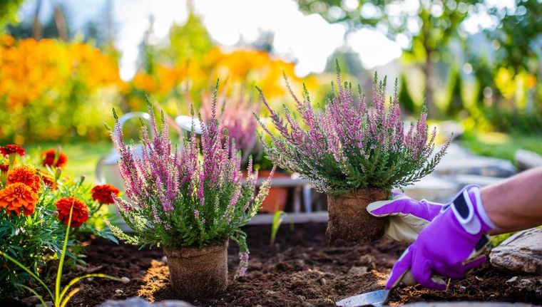 Amazon tiene en oferta por tiempo limitado este juego de jardinería