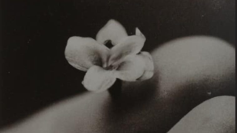 IA en Nueva York: un cineasta creó la primera exposición de arte de este tipo