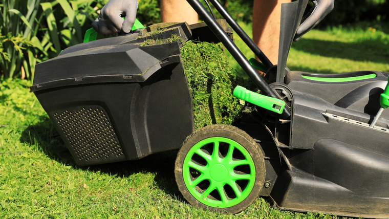 Walmart tiene esta cortadora de cesped a mitad de precio por el día del padre