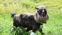 el robot lobo que protege de los osos a una ciudad japonesa