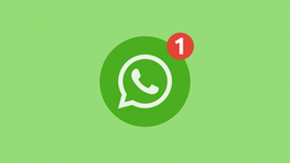 Paso a paso en WhatsApp para modificar las notificaciones Paso a paso en WhatsApp para modificar las notificaciones