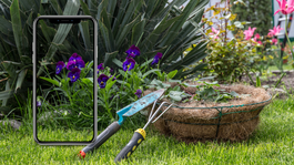 La tecnología te ayudará a tener el mejor jardín y a cuidar tus flores