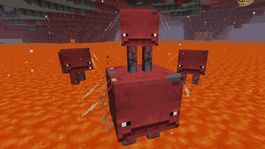 minecraft: como encontrar y montar un strider