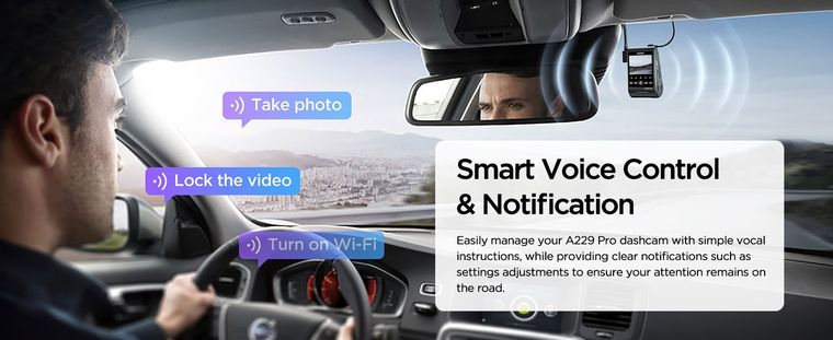 Seguridad en el carro