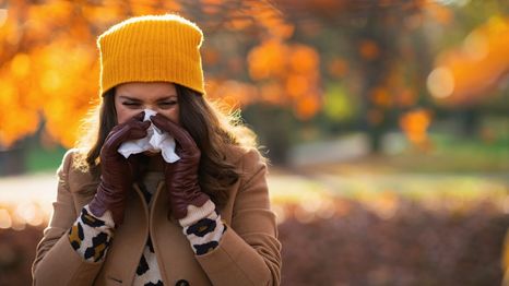 ¿Harto de las alergias otoñales? Este secreto te cambiará la vida